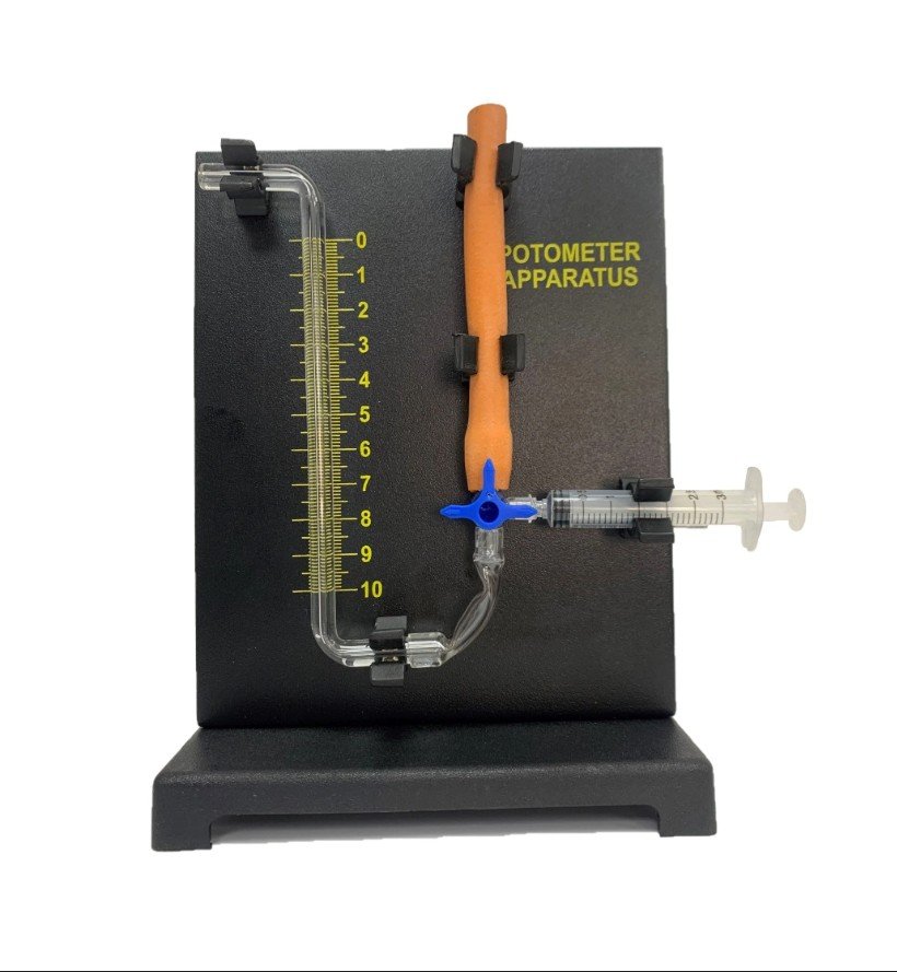 potometer