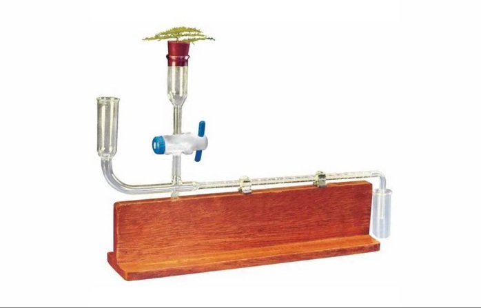potometer ganongs